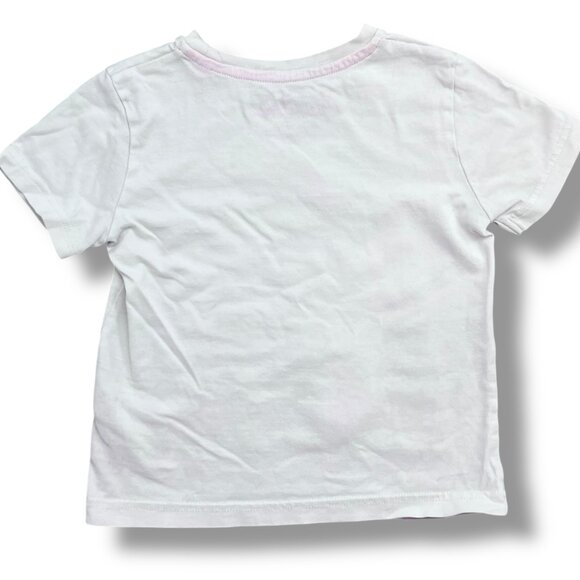 Mini Boden Pink Flamingo Appliqué Flamboyance Facts Short Sleeve Shirt Size 4-5Y - Picture 4 of 5